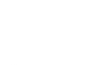 Cornerstone White Lion
